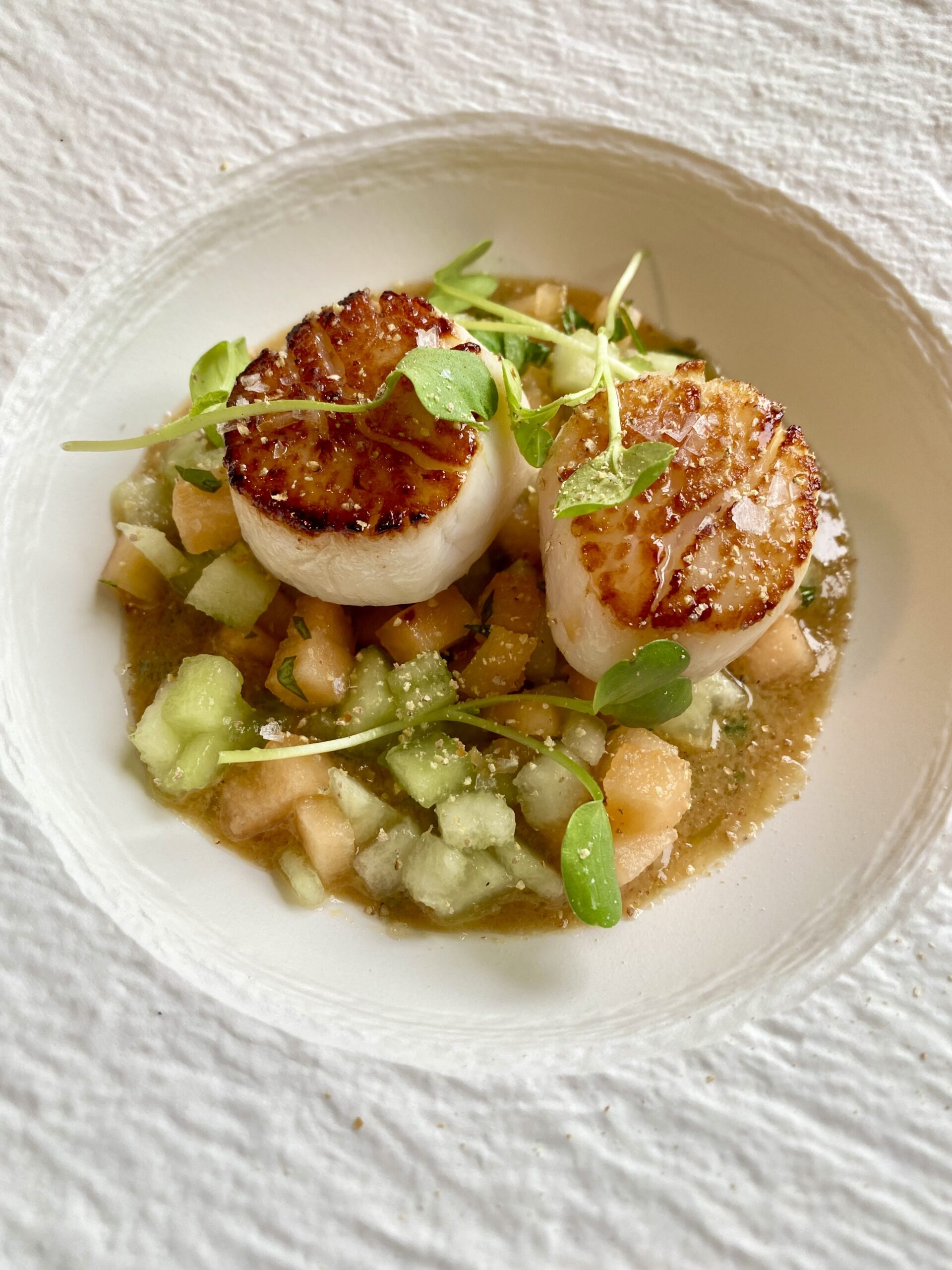 Seared Sea Scallops with Melon Salad